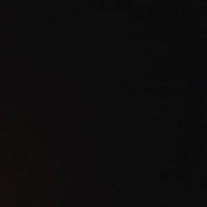 Meet your Posher, Lynn